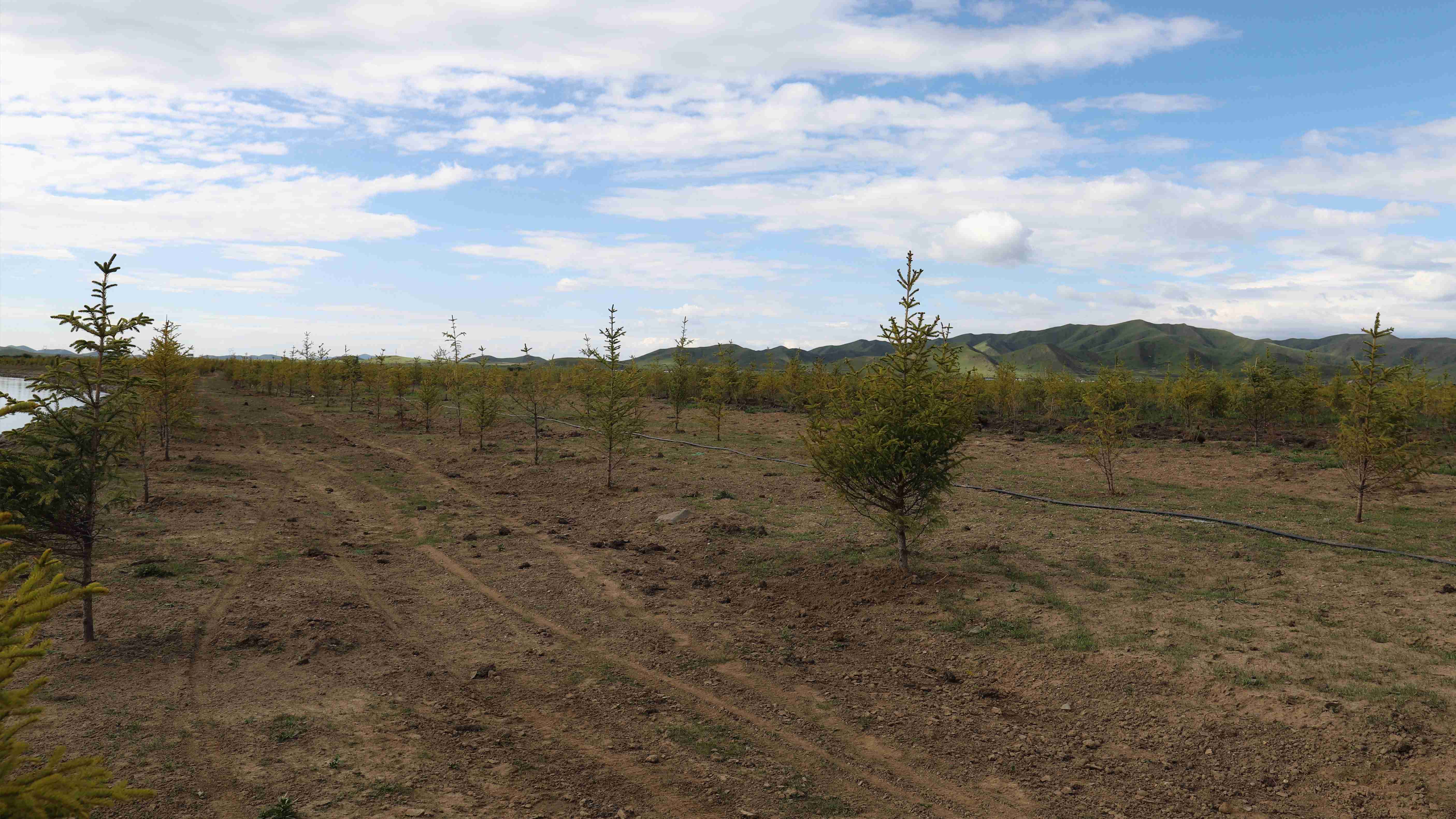 嚴(yán)守工程質(zhì)量，筑牢生態(tài)屏障